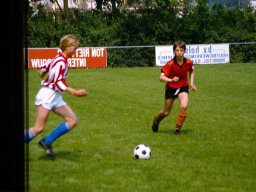 0DIA 1984 RAVA B1